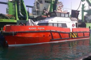 Image of Njord Puffin